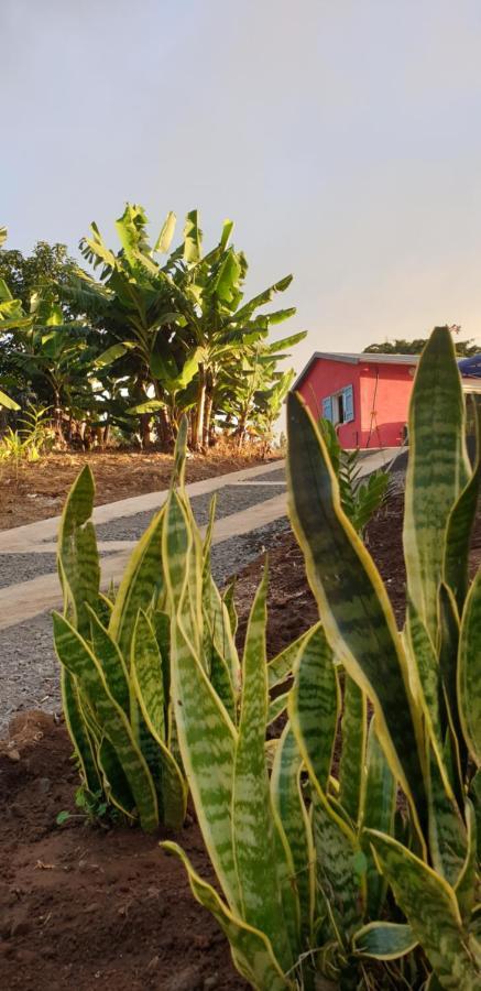 Hostal Au Coeur Des Plantations La Possession Exterior foto
