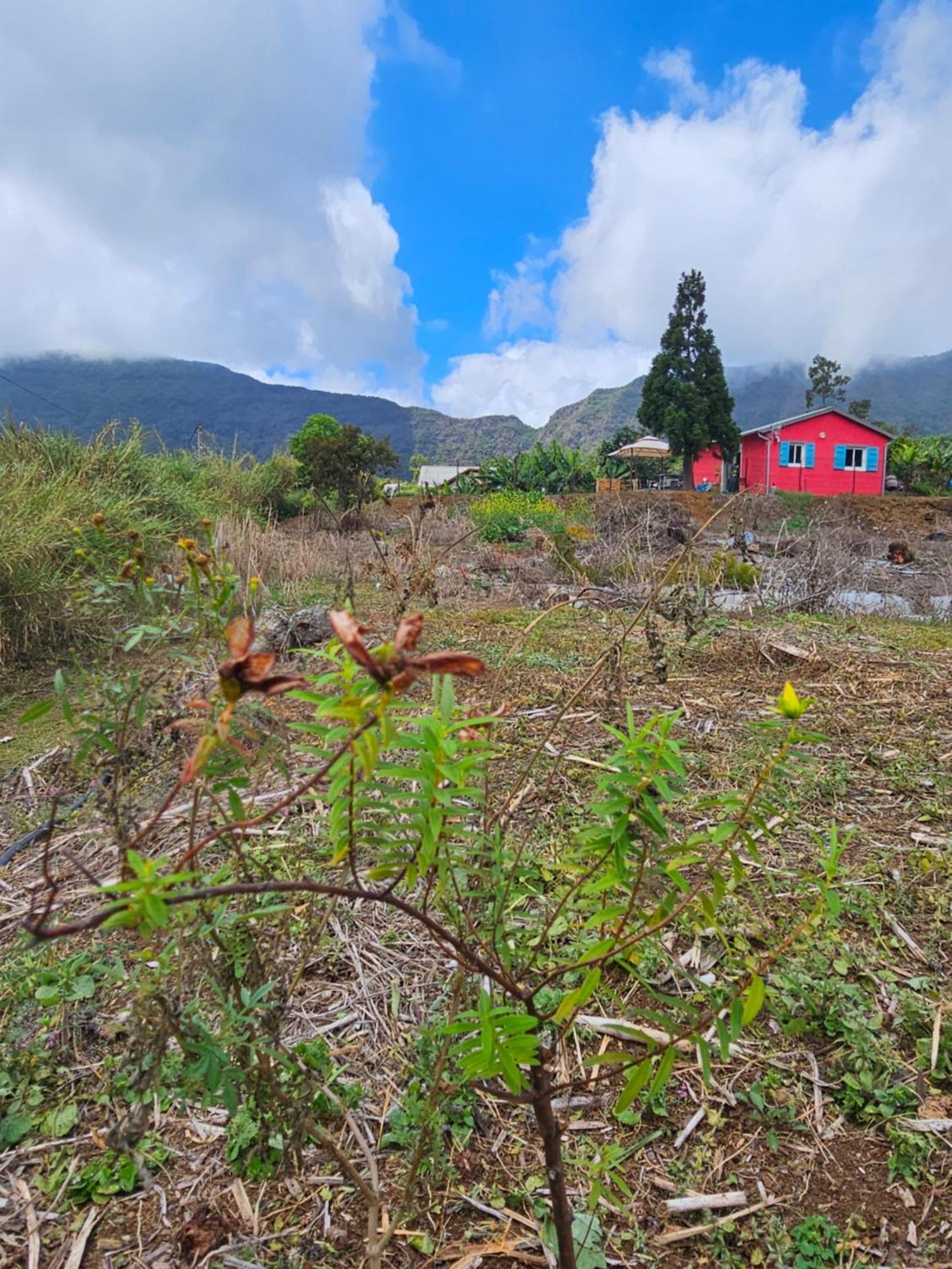 Hostal Au Coeur Des Plantations La Possession Exterior foto